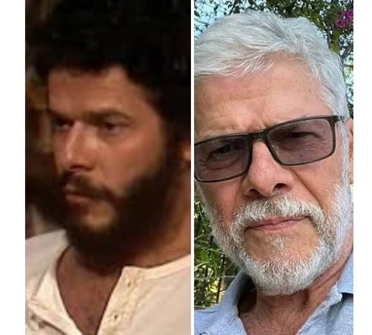 Foto: José Mayer atualmente tem 75 anos - Purepeople