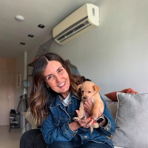 Na noite deste sábado (05), Fátima Bernardes revelou que a família adotou um novo cachorrinho
