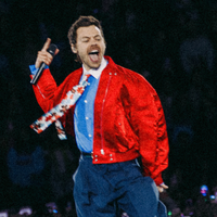 Nem preto básico, nem branco sem graça: estes Adidas foram os meus tênis escolhidos para o show do Harry Styles no Brasil