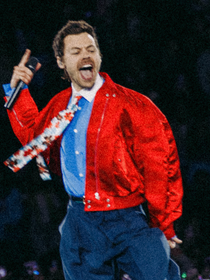Nem preto básico, nem branco sem graça: estes Adidas foram os meus tênis escolhidos para o show do Harry Styles no Brasil