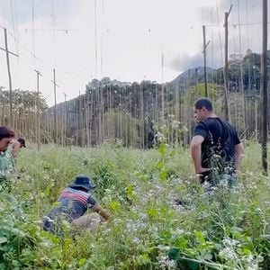 Thiago Lacerda é dono de uma fazenda em Petrópolis