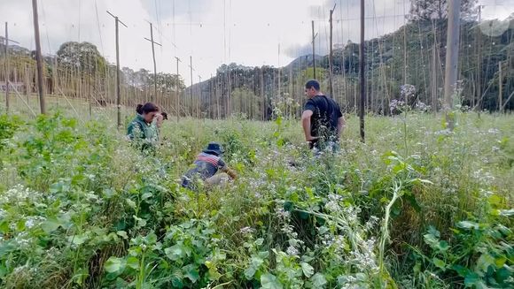 Thiago Lacerda é dono de uma fazenda em Petrópolis