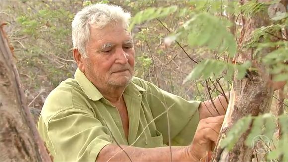 Gafe na Globo! 'Jornal Nacional' mostrava reportagem como sertanejos usam a natureza na previsão do tempo