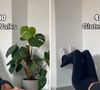 Pilates contra a parede para os glúteos com apenas quatro exercícios