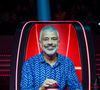 Lulu Santos já foi técnico do 'The Voice Brasil'.