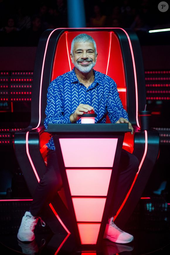 Lulu Santos já foi técnico do 'The Voice Brasil'.