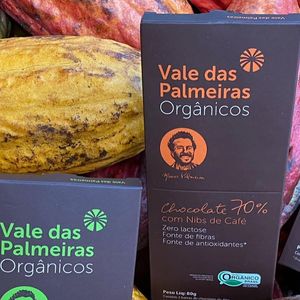 Os chocolates Vale das Palmeiras são produzidos com cacau orgânico, que cresce à sombra de árvores nativas