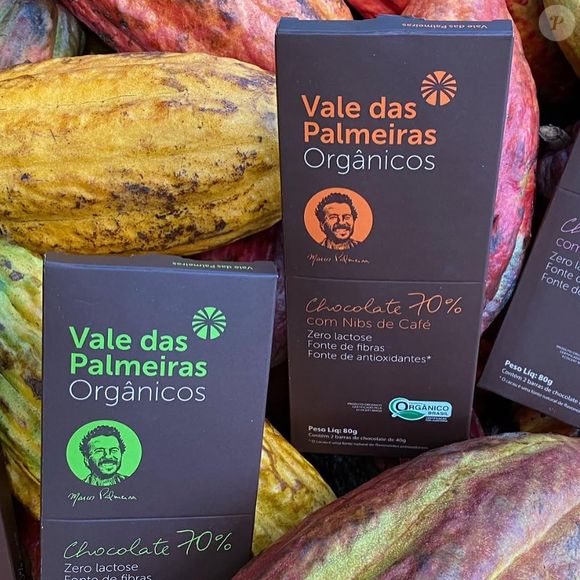 Os chocolates Vale das Palmeiras são produzidos com cacau orgânico, que cresce à sombra de árvores nativas