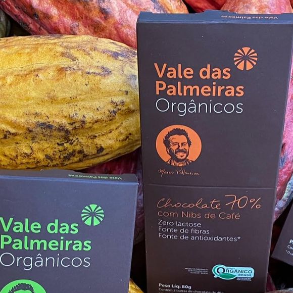 Os chocolates Vale das Palmeiras são produzidos com cacau orgânico, que cresce à sombra de árvores nativas