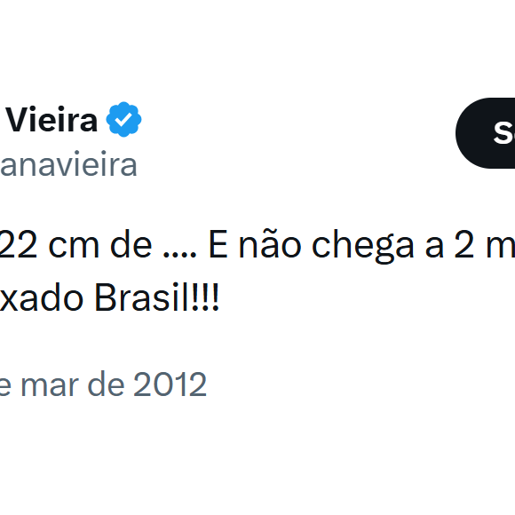 ‘O Jonas tem 22 cm de… E não chega a 2 milímetros de cérebro! Puxado Brasil!’, postou Susana Vieira no X em 2012