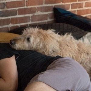 A "Sessão da Tarde" desta quinta-feira (27) traz um longa perfeito para quem ama histórias românticas e, claro, cachorros