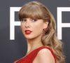 De acordo com informações do F5, Taylor Swift teria contratado mais de 20 seguranças para que ninguém chegasse perto dela no camarote, mas TMZ negou vinda da cantora ao Brasil
