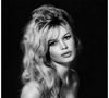 Brigitte Bardot deixou a carreira artística nos anos 1970 para se tornar ativista da causa animal