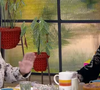 Durante participação no programa 'Mais Você', Belo abriu o jogo para Ana Maria Braga sobre peso: “Engordei bastante”, brincou o artista ao comentar os 14 quilos adquiridos ao longo das gravações.