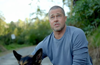 Aos 62 anos, Brad Pitt retorna às telas em Coração Selvagem, filme de ação e sobrevivência sobre um agente das forças especiais perdido no Alasca