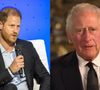 Rei Charles está 'aberto a acabar com a rivalidade com o Príncipe Harry', mas com uma condição