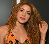 Além da hospedagem luxuosa, Shakira poderá fazer alguns tratamentos de relaxamento e bem-estar cobrados à parte