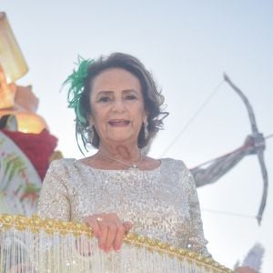 Carnaval 2025: mãe de Cazuza se emocionou com homenagem ao filho em desfile