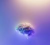 Cientistas de Cambridge apontam que a adolescência cerebral dura dos 9 aos 32 anos