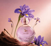 Com ingrediente raro da alta perfumaria mundial e mais de 200 anos de tradição, o novo Liz D'Essence chega para redefinir o amadeirado feminino no Brasil. A novidade de O Boticário aposta em sofisticação, intensidade e um rastro marcante para o inverno