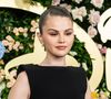 Nem arroz, nem feijão: o sanduíche de frango que Selena Gomez come no almoço é ideal para salvar sua dieta em dias corridos