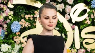 Sou nutricionista e garanto: o sanduíche de frango que Selena Gomez come no almoço é ideal para salvar sua dieta em dias corridos