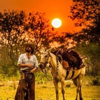 Bem antes de 'o agro é pop', o maior autor de remakes da Globo: como Benedito Ruy Barbosa se consagrou no TOP1 de novas versões de novelas originais com seu realismo rural incomparável