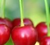 Dieta rica em frutas é recomendada por especialistas para se evitar o diagnóstico de câncer