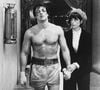 Para manter seu físico impecável, Sylvester Stallone disse que "comia apenas pequenas porções de biscoitos de aveia feitos com arroz integral e bebia até 25 xícaras de café por dia com mel, além de consumir algumas porções de atum"