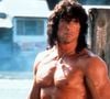 Aos 80 anos, Sylvester Stallone continua trabalhando e acumulando novos projetos. O astro de Rocky, Rambo e The Expendables construiu uma carreira de cinco décadas como ator, roteirista, diretor e produtor