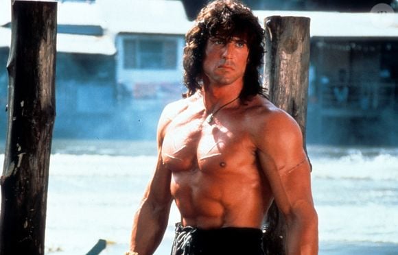 Aos 80 anos, Sylvester Stallone continua trabalhando e acumulando novos projetos. O astro de Rocky, Rambo e The Expendables construiu uma carreira de cinco décadas como ator, roteirista, diretor e produtor