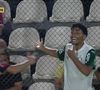 Ataque racista no futebol: Conmebol prometeu medidas após Luighi, do Palmeiras, ser atacado em campo e levar cusparada
