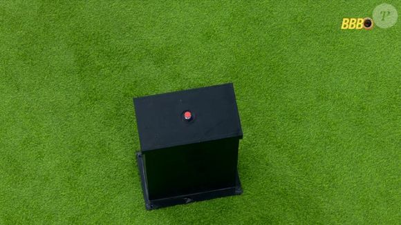 Botão no jardim sacudiu a casa do BBB 26