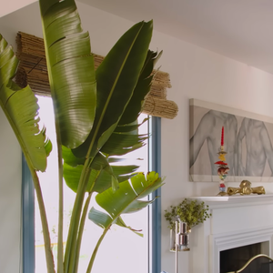 Interior da mansão de Chay Suede também conta com diversas plantas de sombra