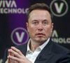 Segundo um jornal norte-americano, Elon Musk pode ter ainda mais filhos pelo mundo do que estes