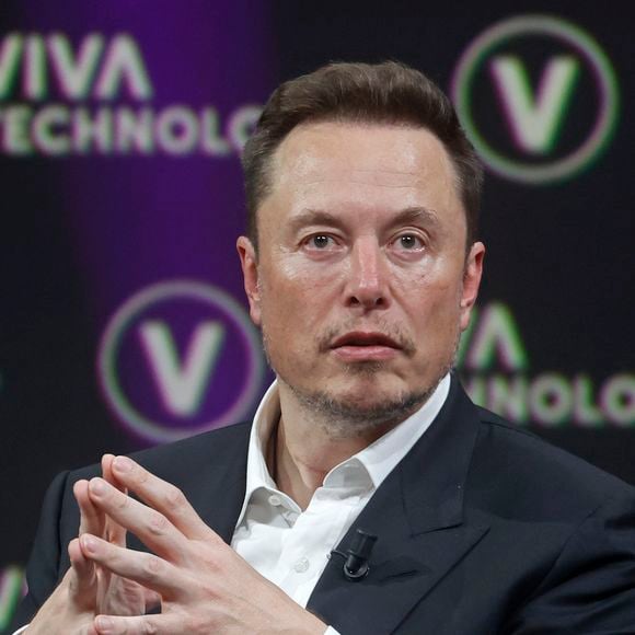 Segundo um jornal norte-americano, Elon Musk pode ter ainda mais filhos pelo mundo do que estes