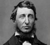 Frase do dia de Henry David Thoreau, filósofo: 'A maioria das pessoas leva uma vida de desespero silencioso'
