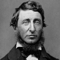Frase do dia de Henry David Thoreau, filósofo: 'A maioria das pessoas leva uma vida de desespero silencioso'
