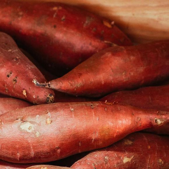 Batata-doce está presente no suco de maçã e couve que Letícia Spiller costuma beber no café da manhã
