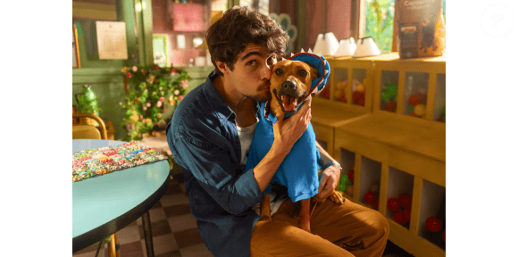 Produção nacional Caramelo, com Rafael Vitti e um vira-lata caramelo, é destaque da lista de lançamentos