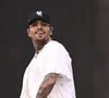 Motivo da condenação de Chris Brown foi um incidente com um cachorro do cantor, da raça pastor-do-Cáucaso, que pesava 90 quilos