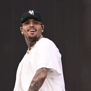 Motivo da condenação de Chris Brown foi um incidente com um cachorro do cantor, da raça pastor-do-Cáucaso, que pesava 90 quilos