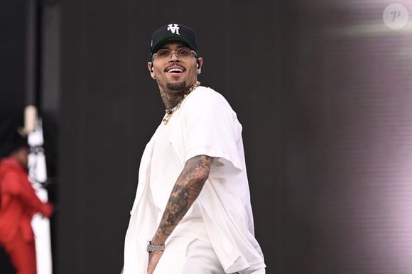 Motivo da condenação de Chris Brown foi um incidente com um cachorro do cantor, da raça pastor-do-Cáucaso, que pesava 90 quilos