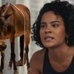 Burro de 'Êta Mundo Melhor!' sai na frente e conquista o que Maria de Fátima de 'Vale Tudo' batalha há tempos e só agora parece que vai dar certo