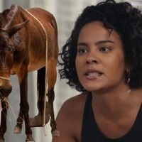 Burro de 'Êta Mundo Melhor!' sai na frente e conquista o que Maria de Fátima de 'Vale Tudo' batalha há tempos e só agora parece que vai dar certo