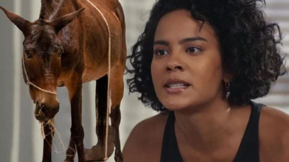 Burro de 'Êta Mundo Melhor!' sai na frente e conquista o que Maria de Fátima de 'Vale Tudo' batalha há tempos e só agora parece que vai dar certo