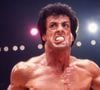 Sylvester Stallone é um dos maiores ícones de Hollywood e fez sucesso em sua carreira como astro de filmes de ação