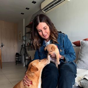 Nos comentários, internautas explicaram que o doguinho foi adotado pela filha do ex-casal, Beatriz Bonemer, junto do namorado