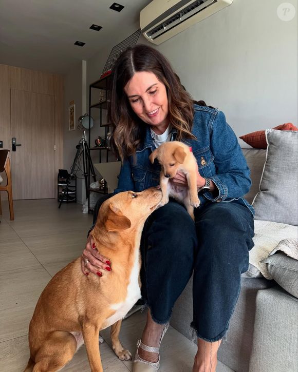 Nos comentários, internautas explicaram que o doguinho foi adotado pela filha do ex-casal, Beatriz Bonemer, junto do namorado