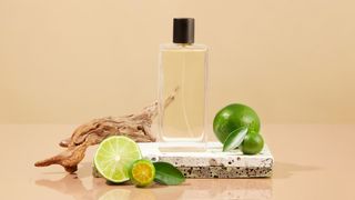 Perfume de Mulher Cheirosa Que Ama Aromas Cícricos: 5 Fragrâncias Nacionais refrescantes com Notas de Limão para Dias Quentes